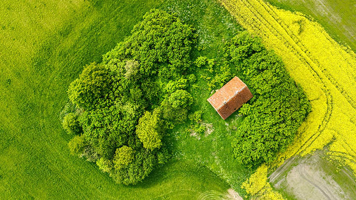 api img 6965ccfec4dc5