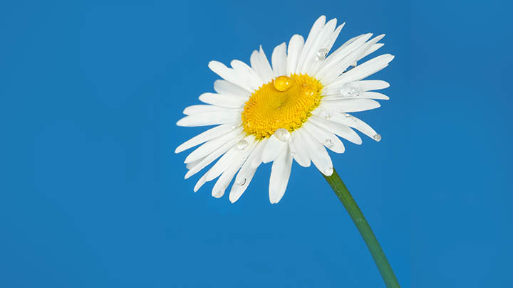 不想中招?WPS如何安全下载一键下载+杀毒扫描两手抓 api img 6966359176920