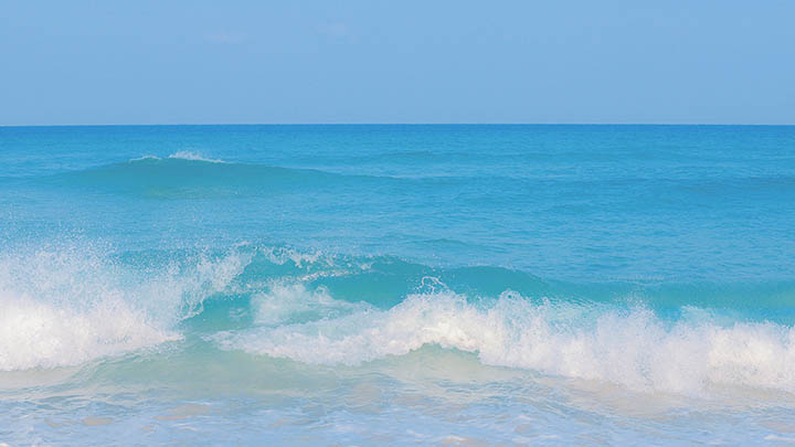 WPS如何下载宏攻略?全方位详细教程奉上! api img 6968a0888eeef