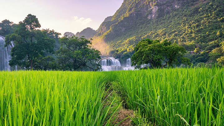 红色WPS下载指南+详细步骤图解教程 api img 6969cfcaa9f9d