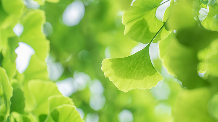 如何生成与分享WPS下载链接的攻略指南? api img 696a3c7b2b18f