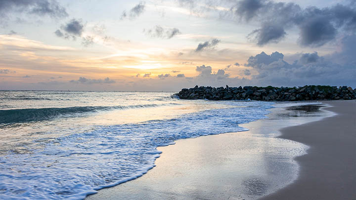 api img 696b218363ff9