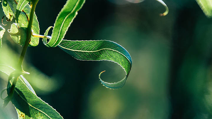 计算机下载WPS全攻略如何实现？ 二