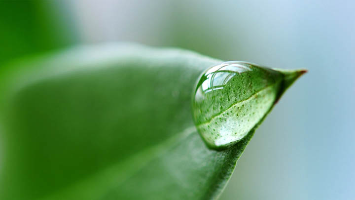 WPS文件下载轻松开启：快速掌握最新技巧与开放方法解析 二