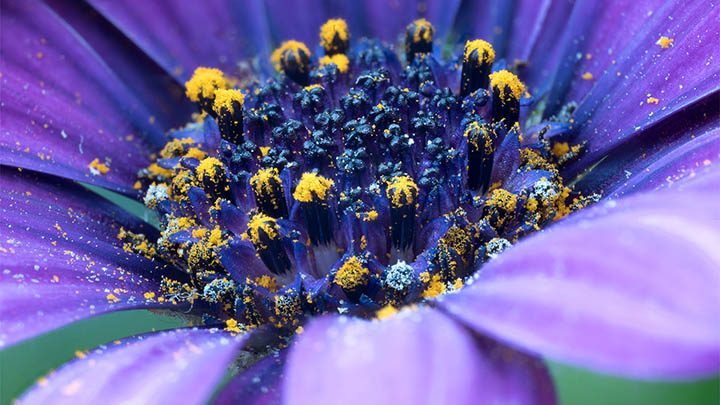 WPS下载记录管理攻略+实用技巧 二