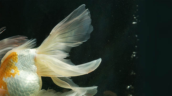 WPS如何下载?详细教程+官网最新安装指南 WPS如何下载?详细教程+官网最新安装指南 二