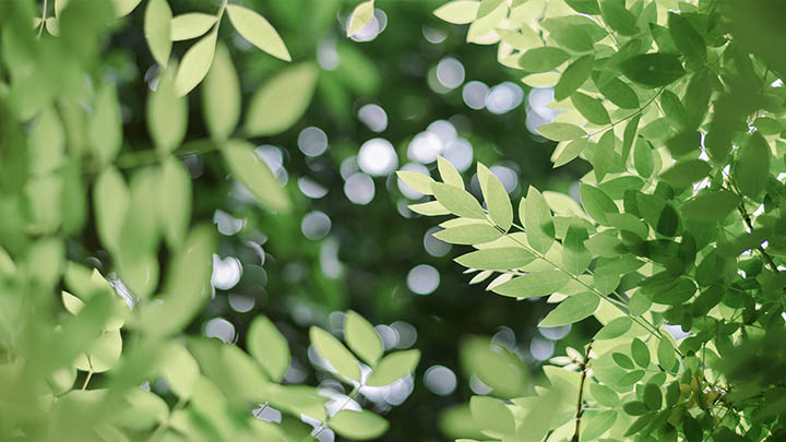 如何下载WPS应用:防止失败/卡顿/格式识别错误的完整指南 如何下载WPS应用:防止失败/卡顿/格式识别错误的完整指南 二