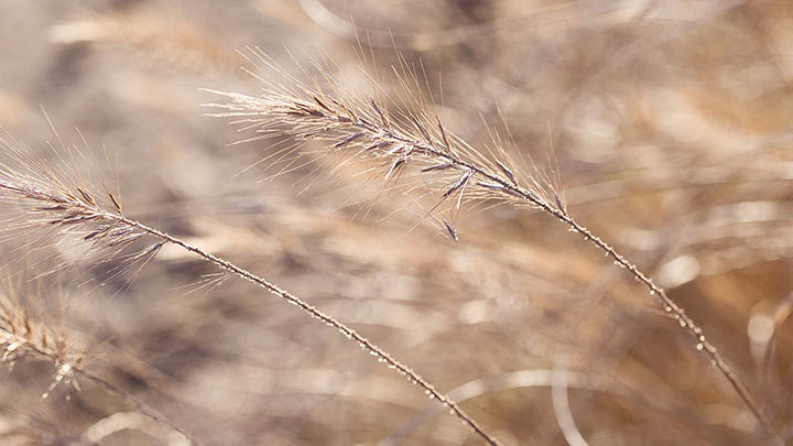 免费下载WPS：不花钱安装完全版指南 二