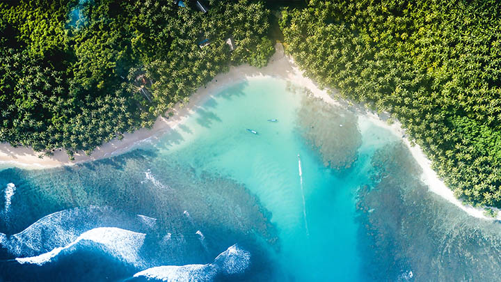 从WPS官网下载安装包:简易3步指南 从WPS官网下载安装包:简易3步指南 二