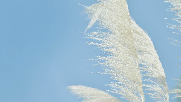 WPS如何下载:详细3步教学 WPS如何下载:详细3步教学 二