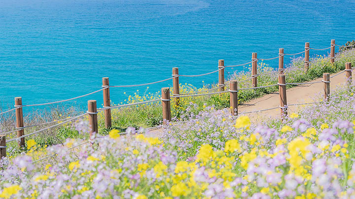 WPS兼容下载指南：无需担心格式不符 二