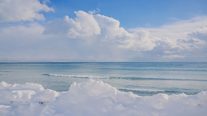 WPS如何下载TXT文件？官网操作全攻略 二