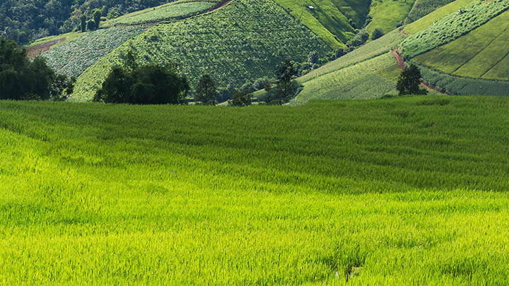 无法找到WPS旧版下载?多途径指南助你轻松获取历史版本,掌握2025年最佳下载技巧 无法找到WPS旧版下载?多途径指南助你轻松获取历史版本,掌握2025年最佳下载技巧 二