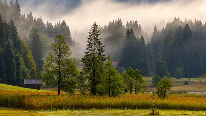 免费下载WPS办公软件快速教程全平台安装指南 二