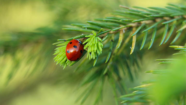 WPS如何免费下载？官网指南解析 二