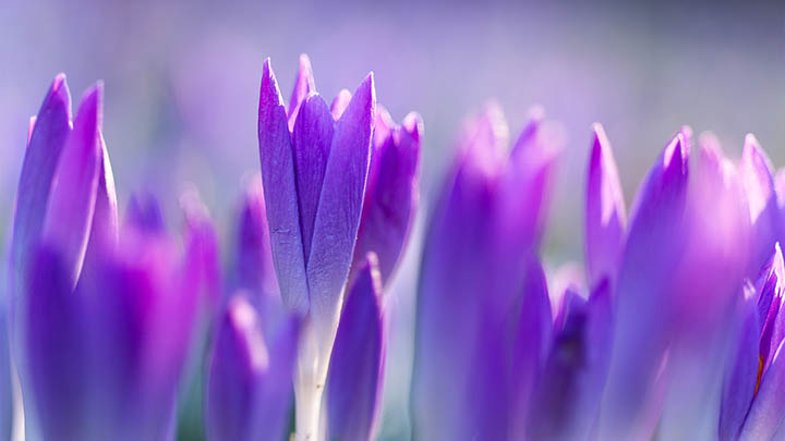 WPS如何禁止下载？详细设置教程+操作技巧解析 二