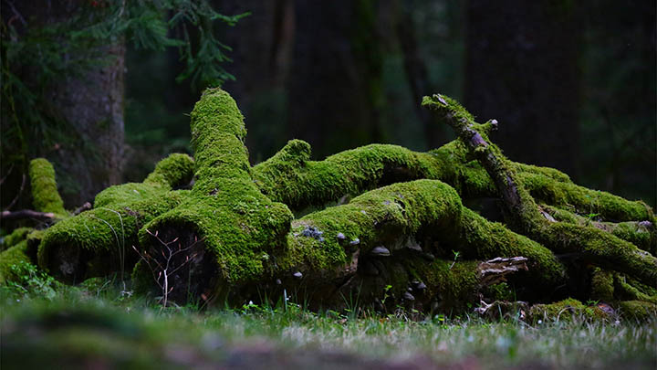 如何批量下载WPS：专属技巧3步掌握 二