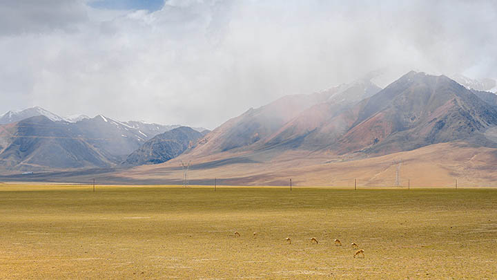 WPS如何下载PDF文件?超全技巧分享 WPS如何下载PDF文件?超全技巧分享 二