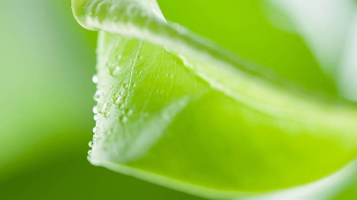 手机端WPS App下载安装攻略全揭秘 二