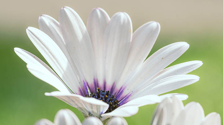 新版WPS怎么下载？离线完整版下载技巧+快速安装教程 二