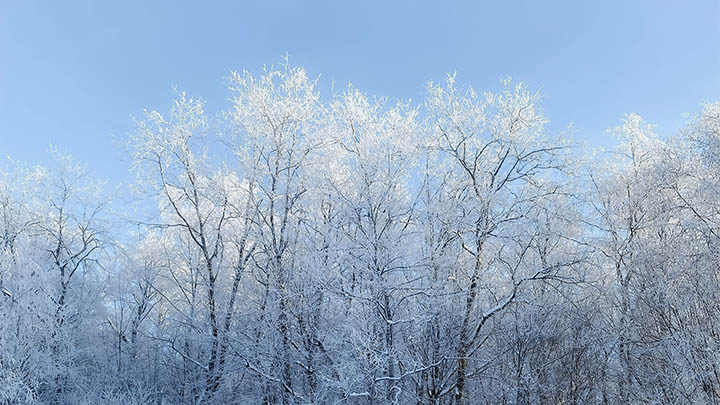 WPS如何下载教材？官方教程详解 二