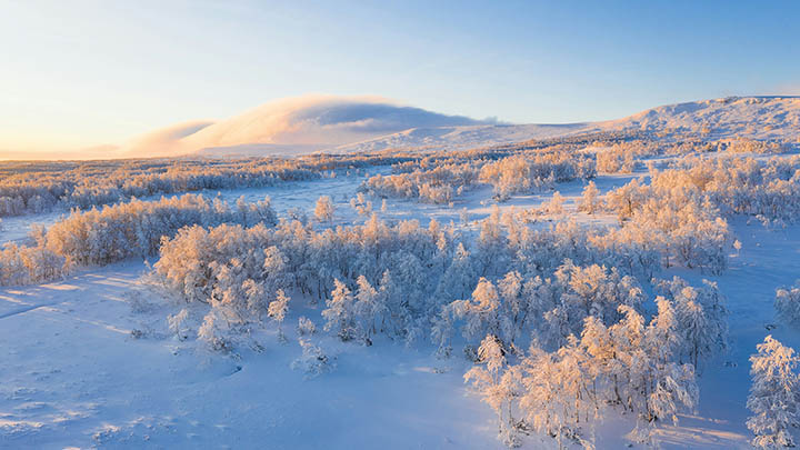 Windows平台WPS下载指南秘籍图文并茂教程 二