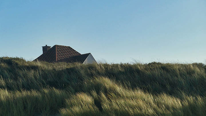 详细解析手机端WPS下载教案的全步骤图示指南 二