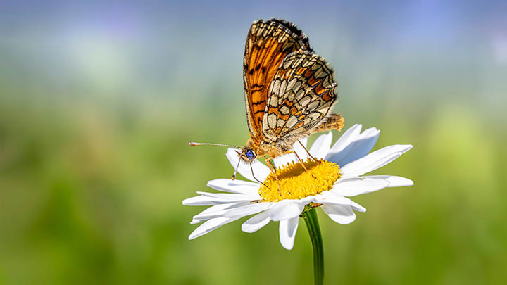 WPS共享如何下载？简单步骤大全 二